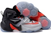LeBron 13-066